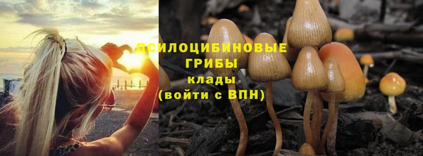 Альфа ПВП Арсеньев