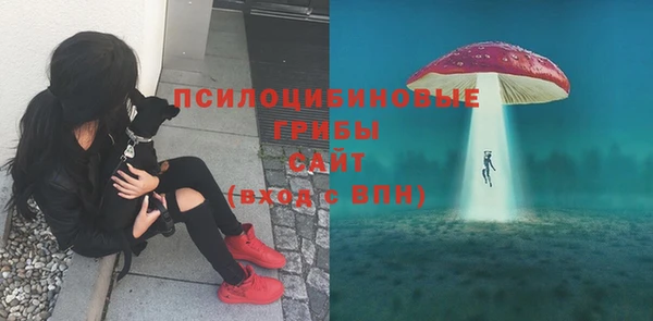 прущие грибы Армянск