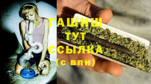 прущие грибы Армянск