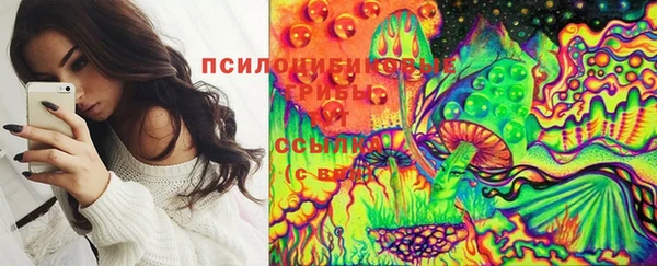 Альфа ПВП Арсеньев