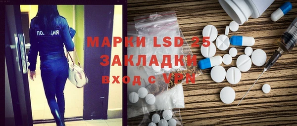 прущие грибы Армянск