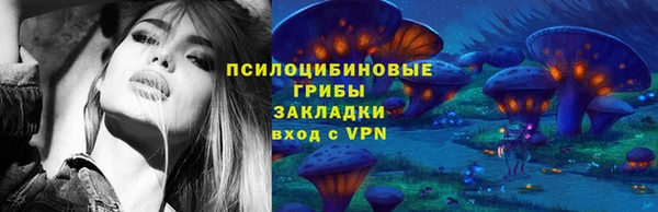 спиды Аркадак