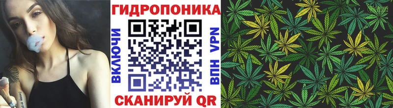 Бошки марихуана White Widow  mega ONION  Ухта 
